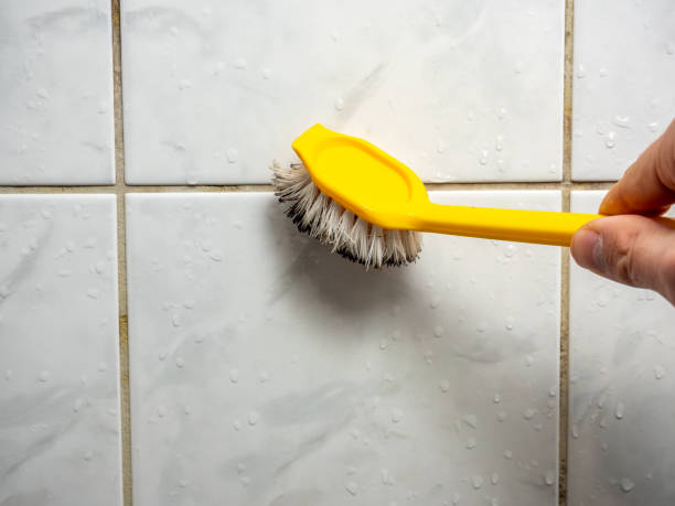 Best Residential Mold Removal  in Middleburg Heights, OH