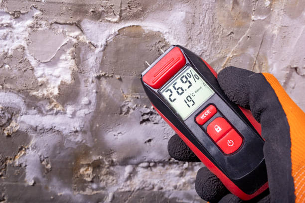 Best Mold Removal Near Me  in Middleburg Heights, OH